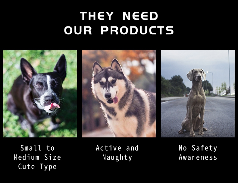 dogharnesswholesalesuppliers.jpg