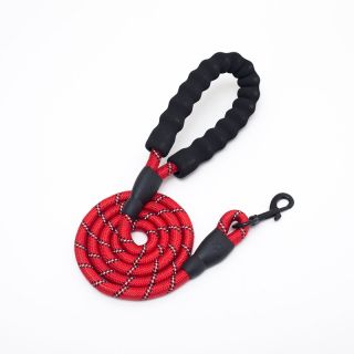 Everking Custom rope nylon dog leash with variou colors on stock