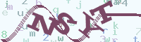 reload image