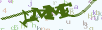 reload image