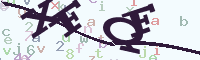 reload image