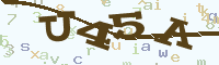 reload image