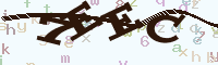 reload image