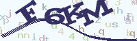 reload image