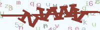 reload image