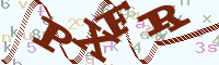 reload image