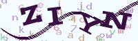 reload image