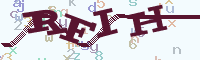 reload image