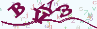 reload image