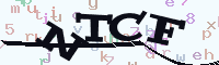 reload image