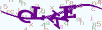 reload image