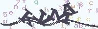 reload image