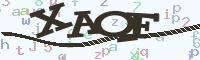 reload image