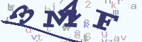 reload image