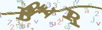 reload image