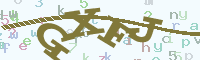 reload image