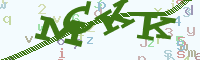 reload image