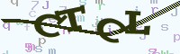 reload image