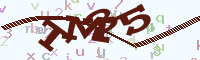 reload image