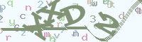 reload image