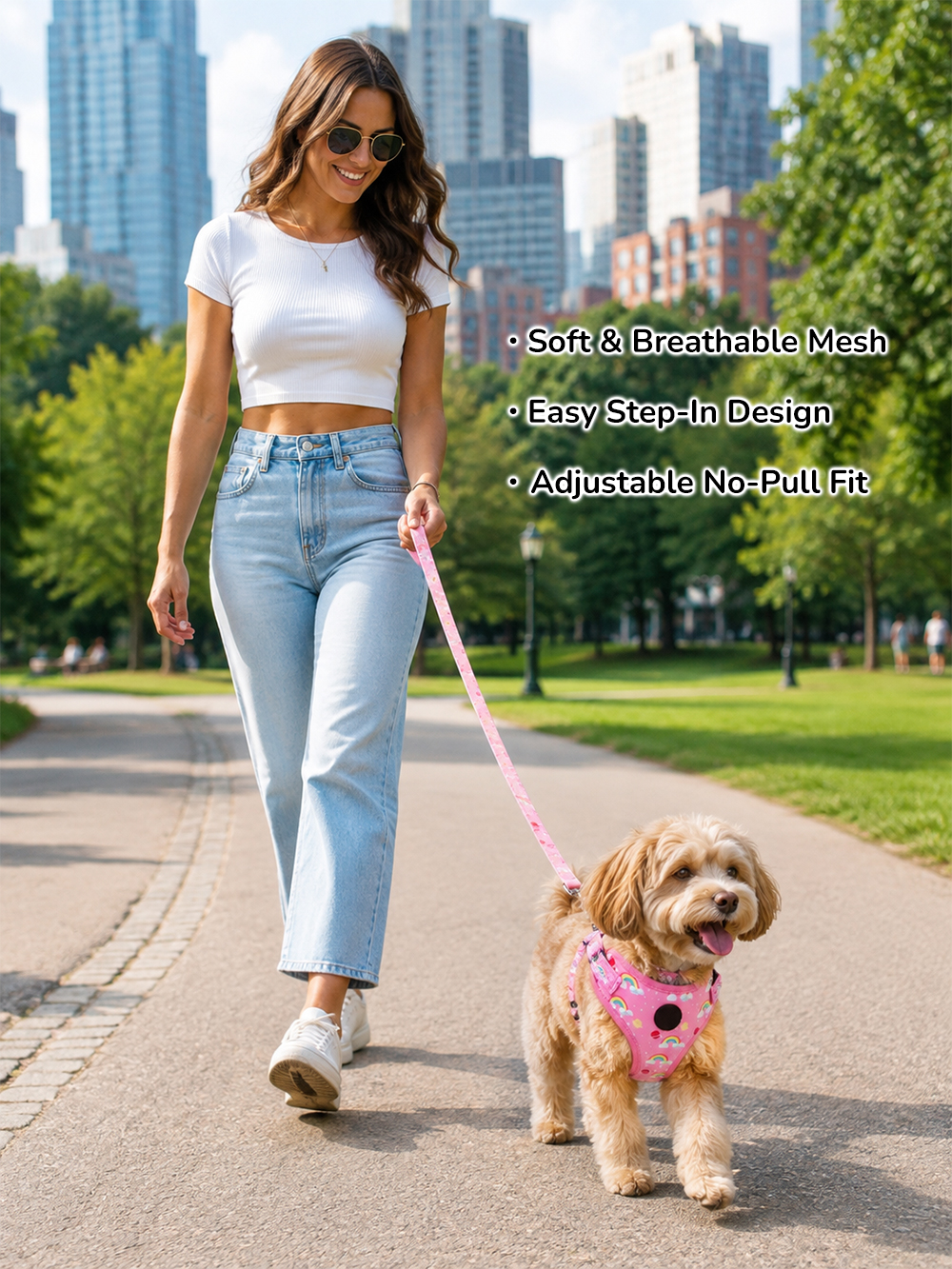Custom rainbow print dog harness and leash set for comfortable daily walks