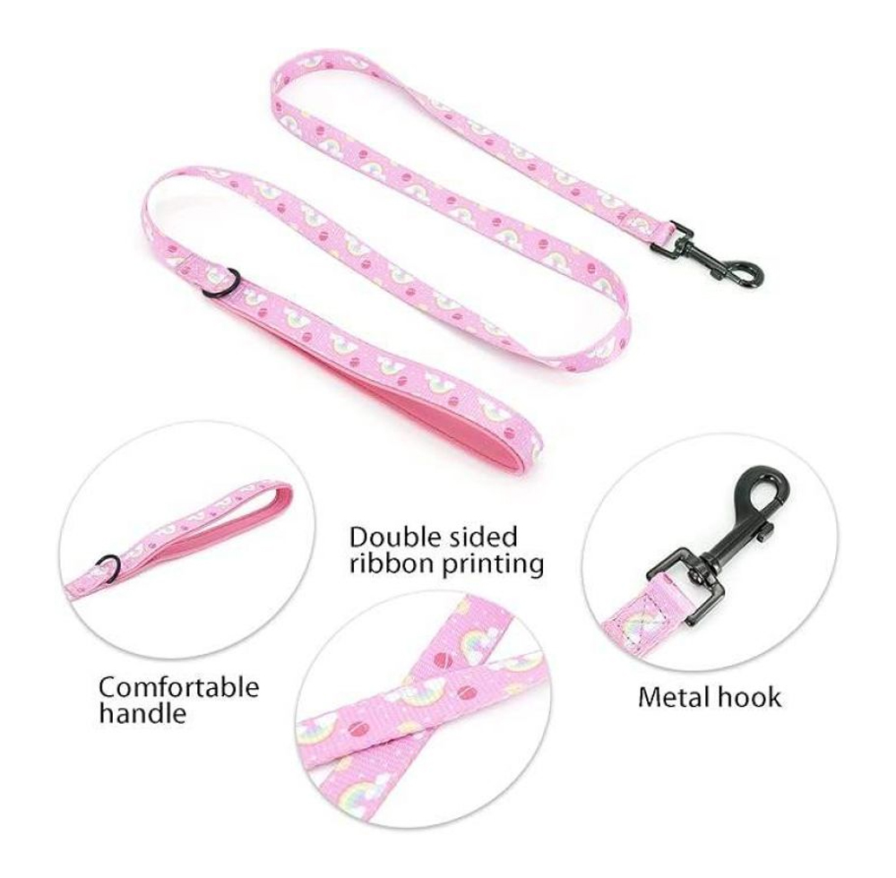 Matching pink rainbow dog leash with comfortable handle and metal hook