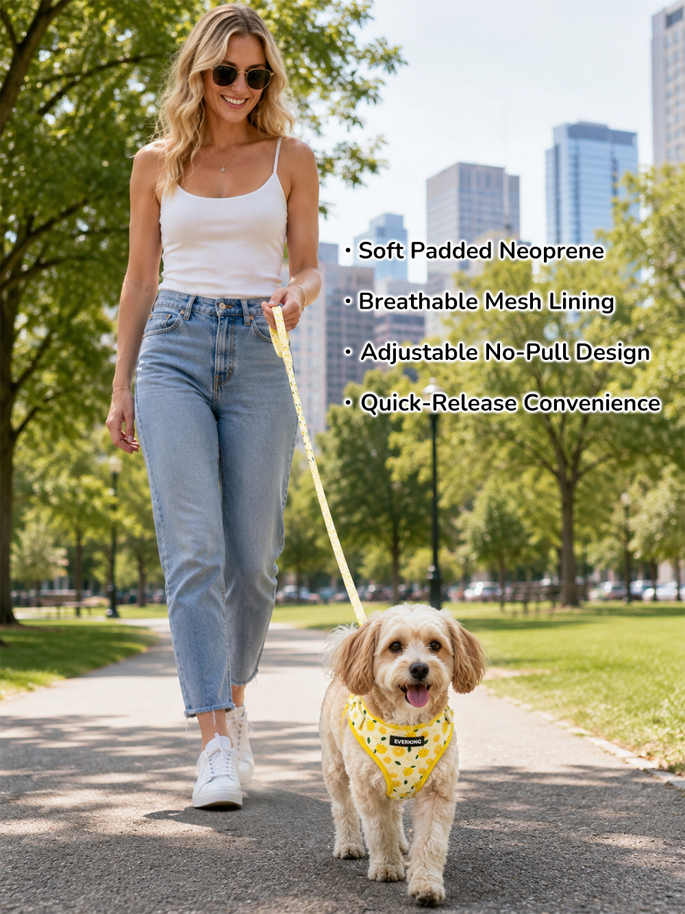 Custom padded dog harness and leash set for comfortable daily walks