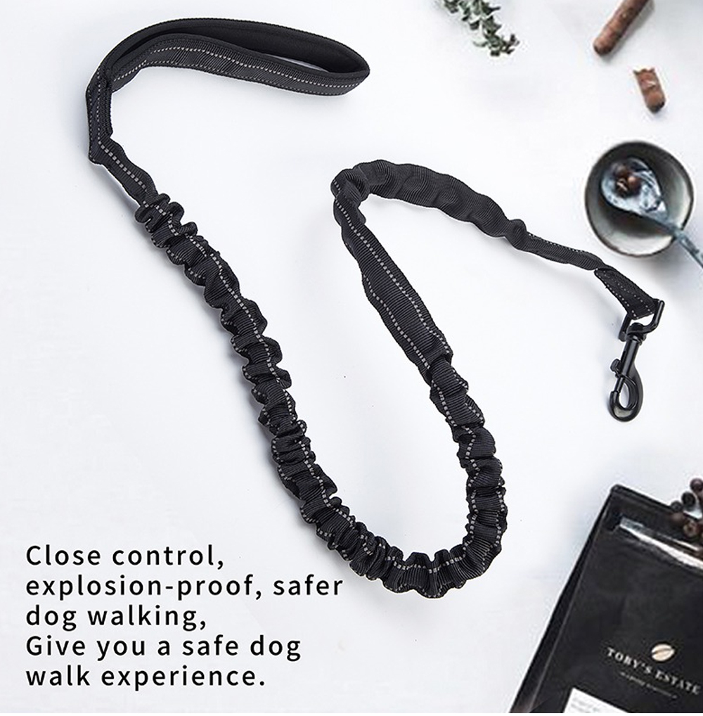 Custom shock-absorbing bungee dog leash with padded loop handle