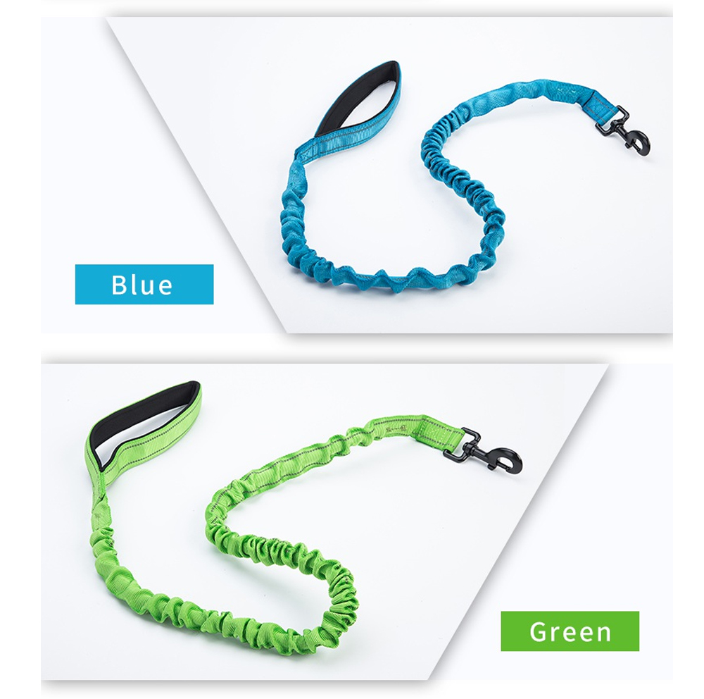 Shock-absorbing dog leash color options in blue and green