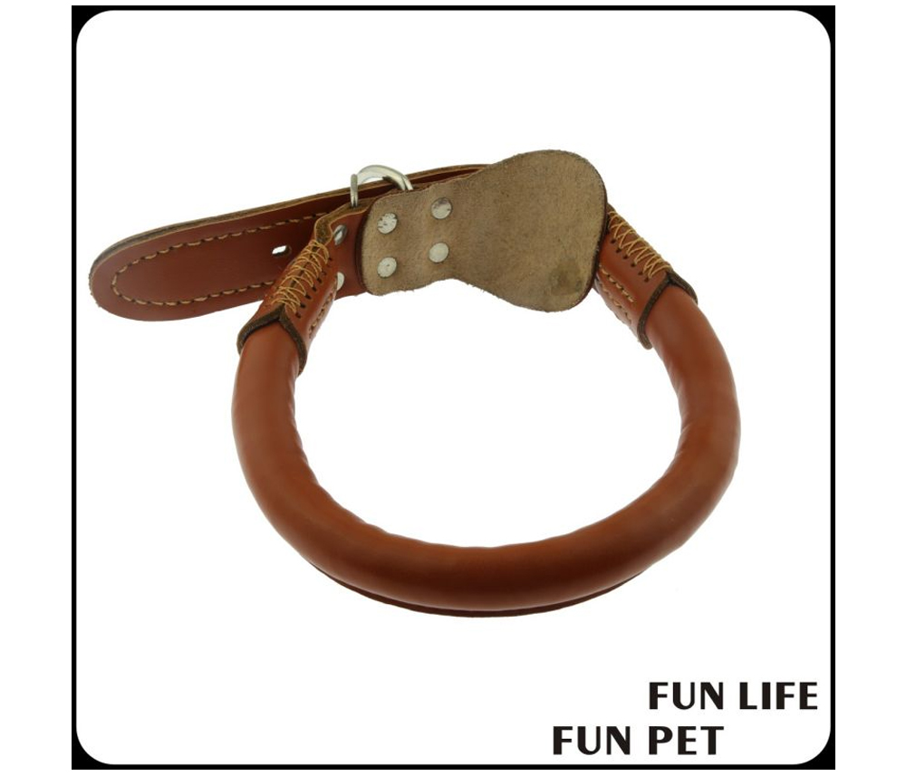 Round leather dog collar loop and fastening detail