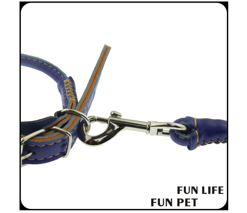 Rotating metal leash clasp and leather connection detail