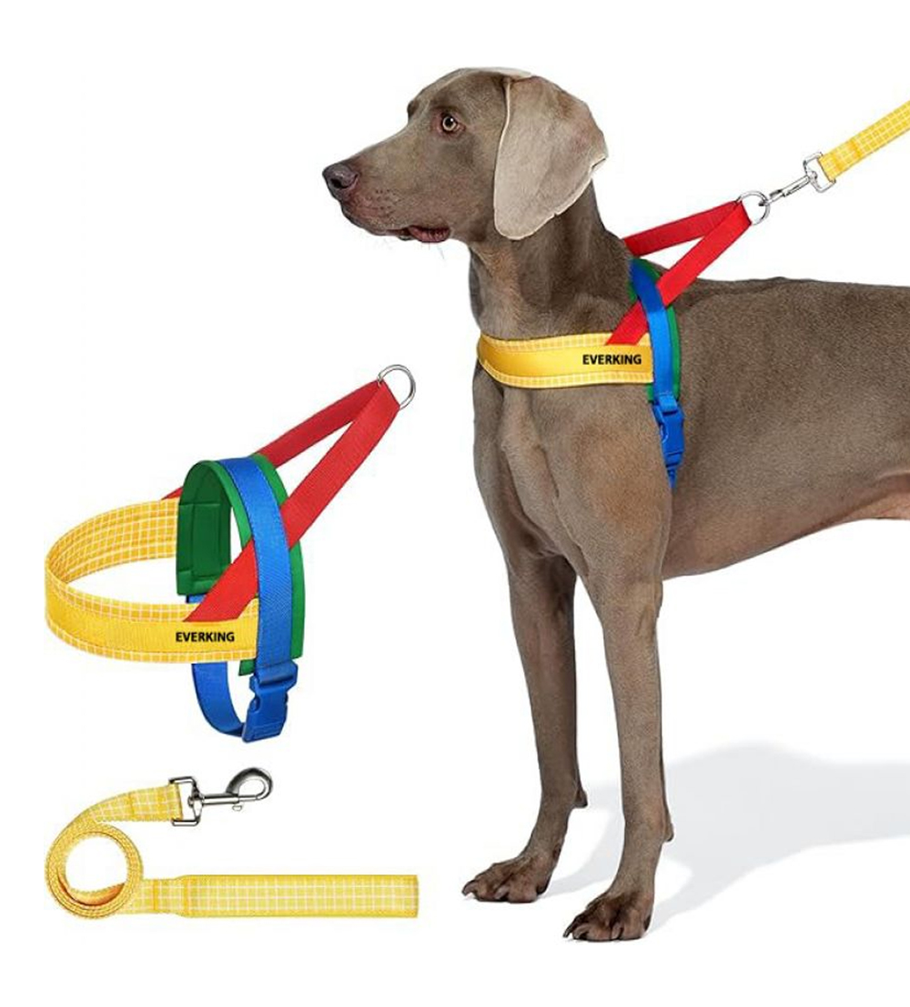 Colorful saddle-style dog harness with matching leash shown on a dog