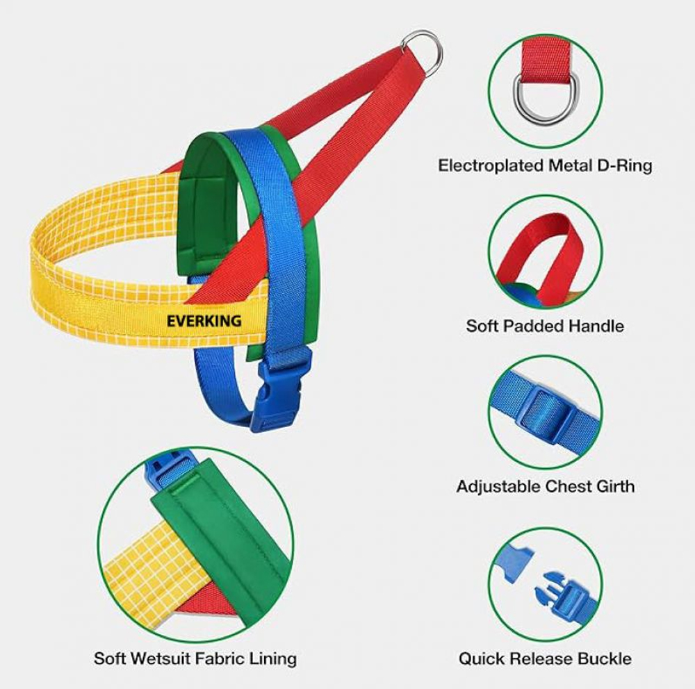 Saddle dog harness padded handle D-ring chest strap and quick-release buckle details