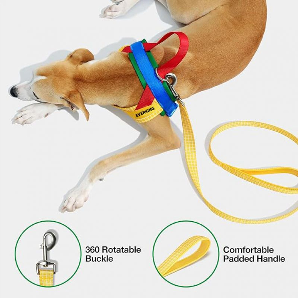 Adjustable dog harness and leash with rotating hook and padded handle