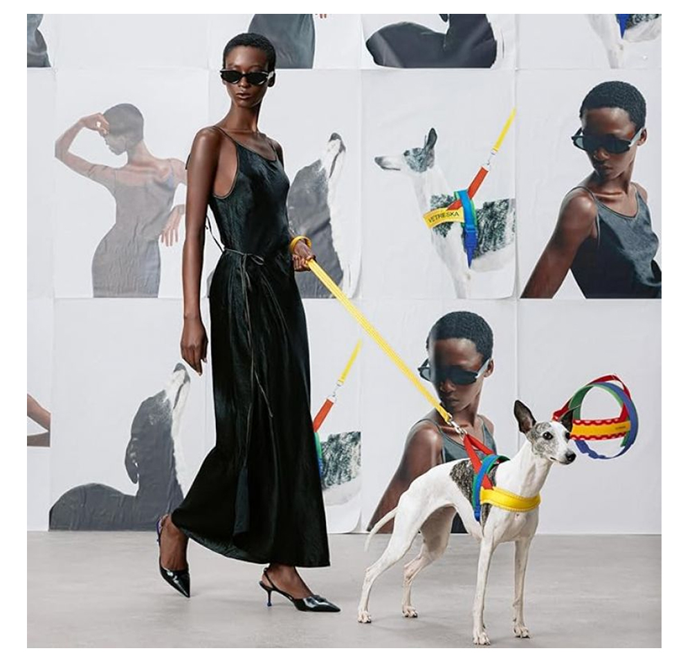 Saddle-style dog harness lifestyle and fashion application