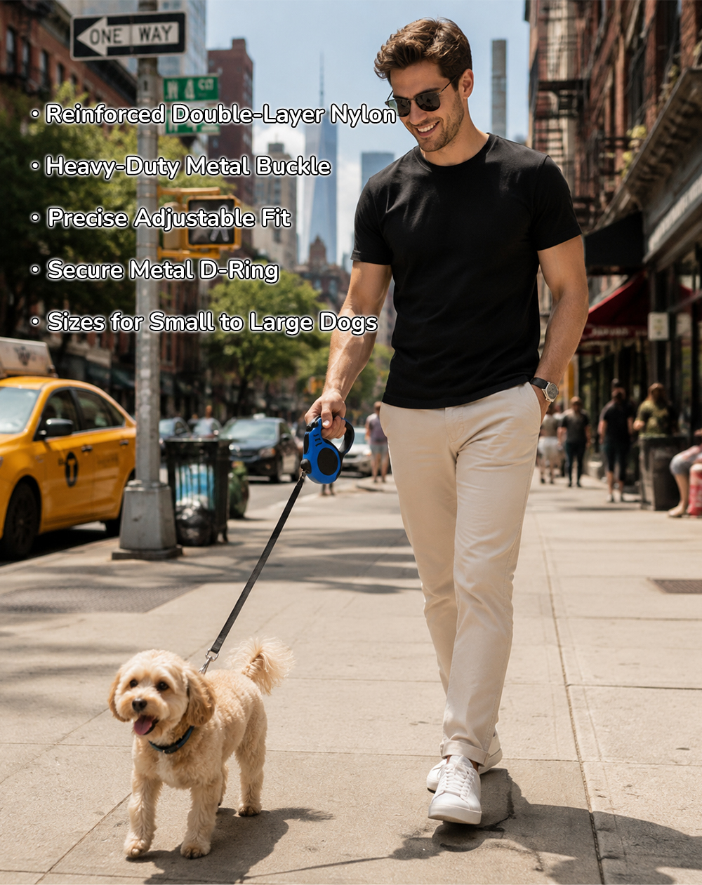Custom 3 meter and 5 meter retractable dog leash product overview