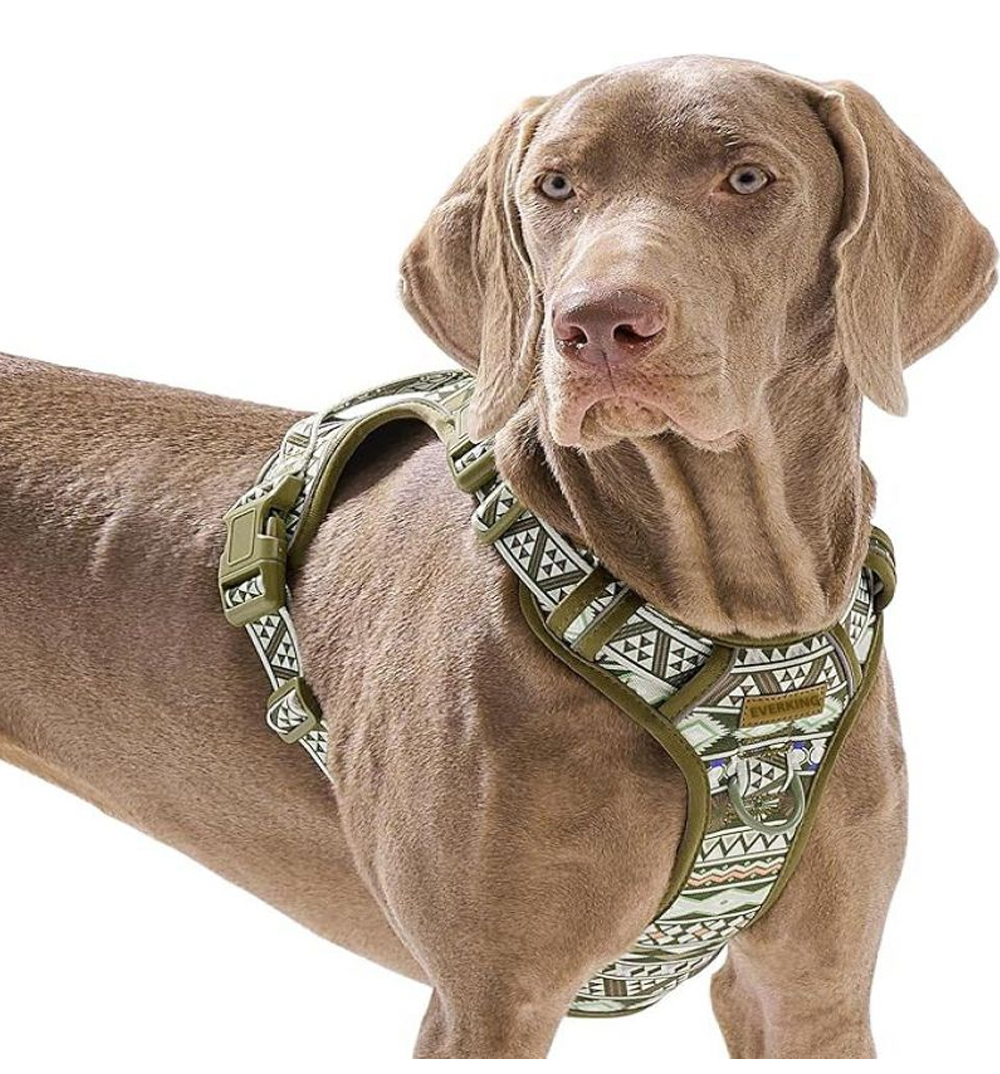 Double-padded Oxford dog harness comfort and fit details