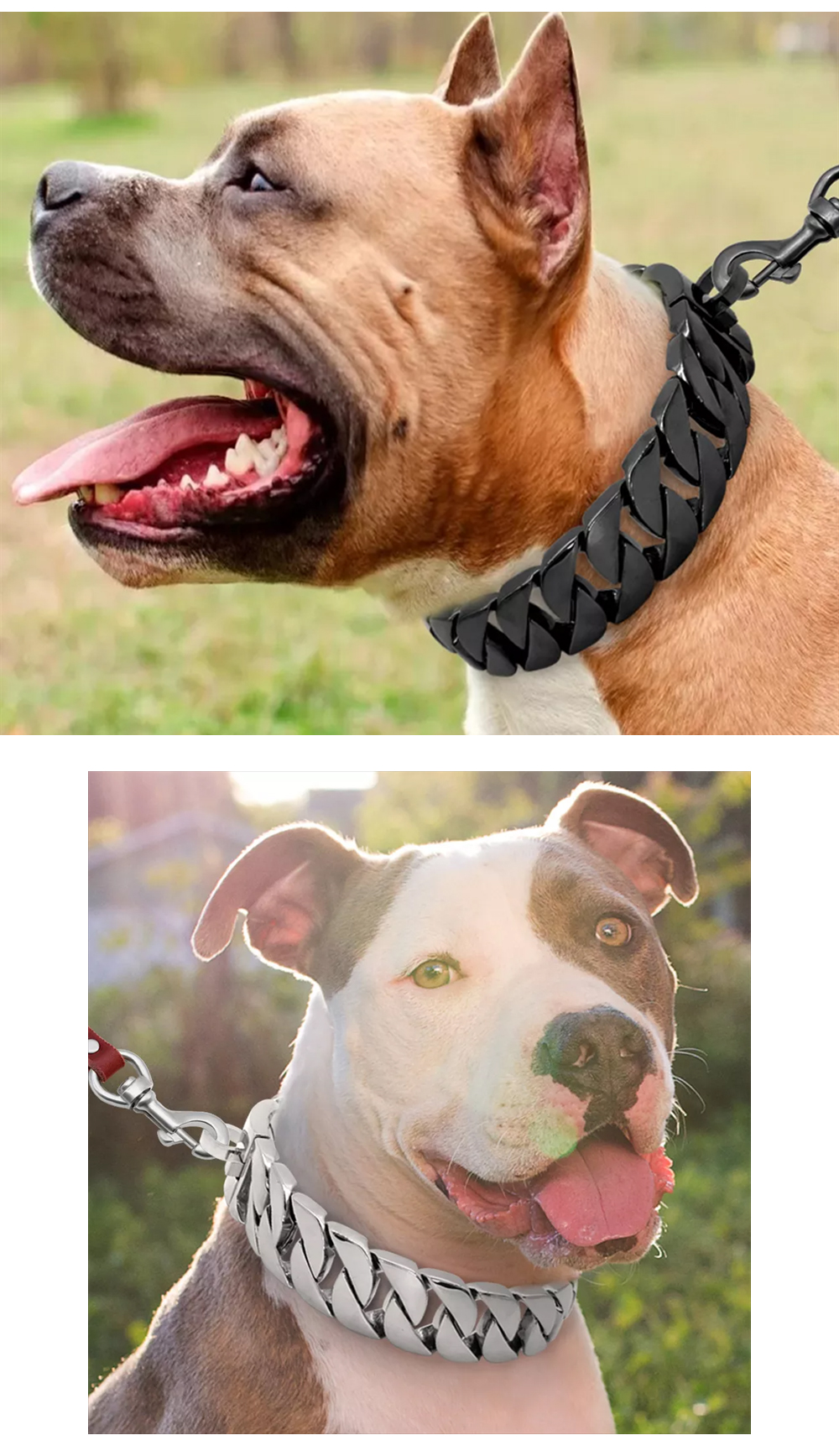 Stainless steel chain dog collar size and width options