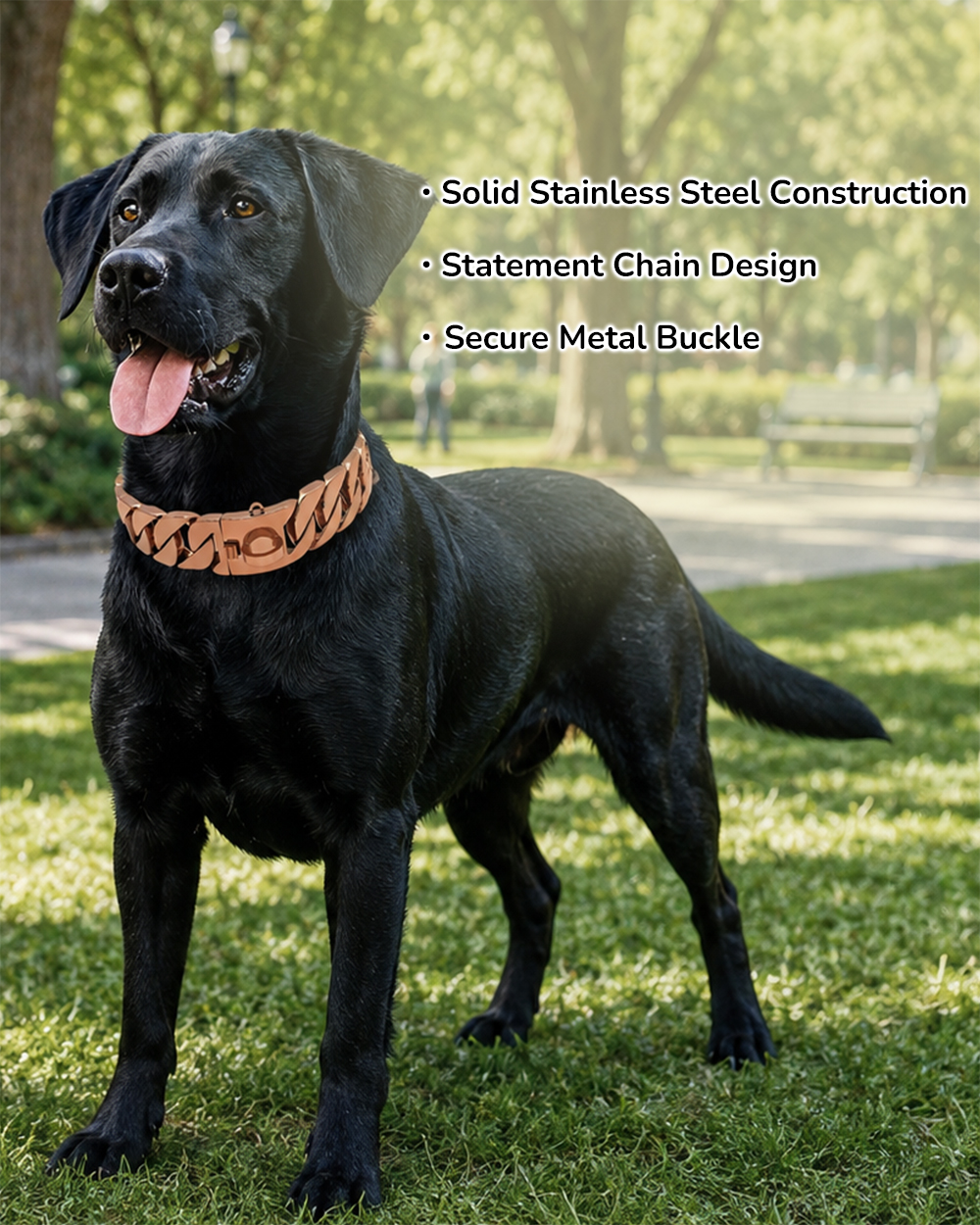 Wholesale stainless steel chain dog collar product presentation