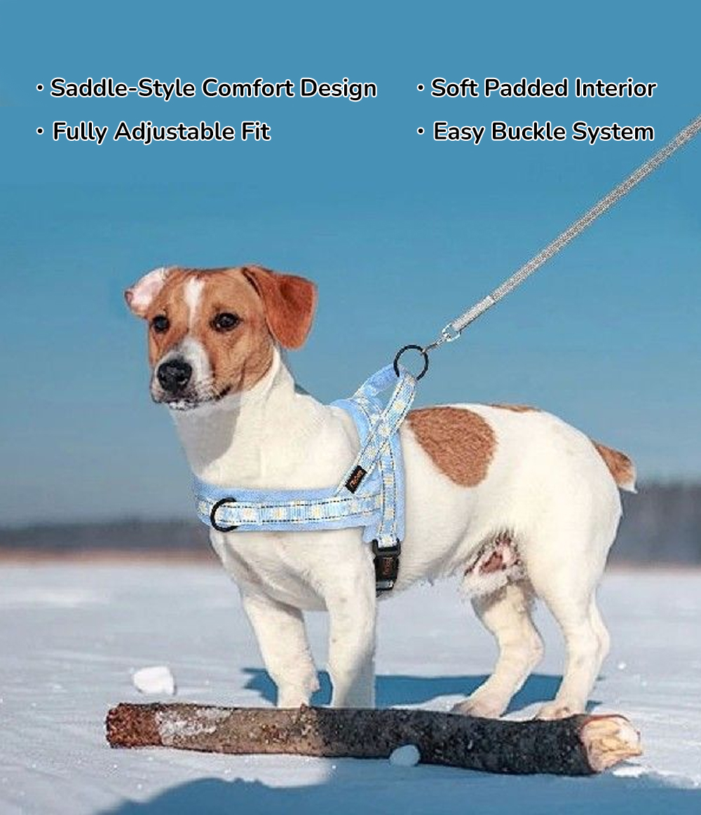 Custom logo wholesale saddle-style dog harness product presentation