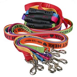 What Kind of Dog Leash is Best?