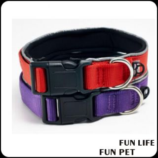 Customized strong Nylon Dog collar with neoprene Padded for pet 