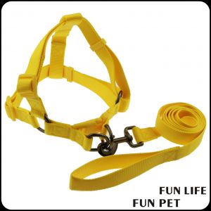 HOW TO FIT A DOG HARNESS
