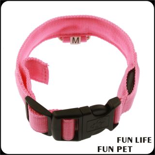 Nylon Webbing Decorative LED Dog Collar and leash set for big pet