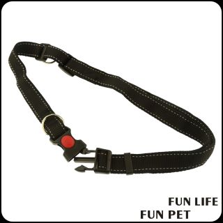 premium customized bungee padded webbing handle dog girth and lead set