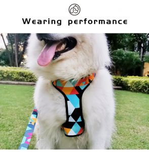 How to Put on a Dog Harness