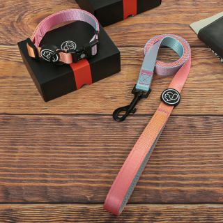 Dog Leash Gradient Dog Collar Walking Sets Leash Neoprene Padded Lead