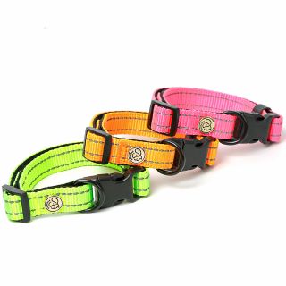 Reflective Nylon best sell dog collar fast shipping stock pet collar