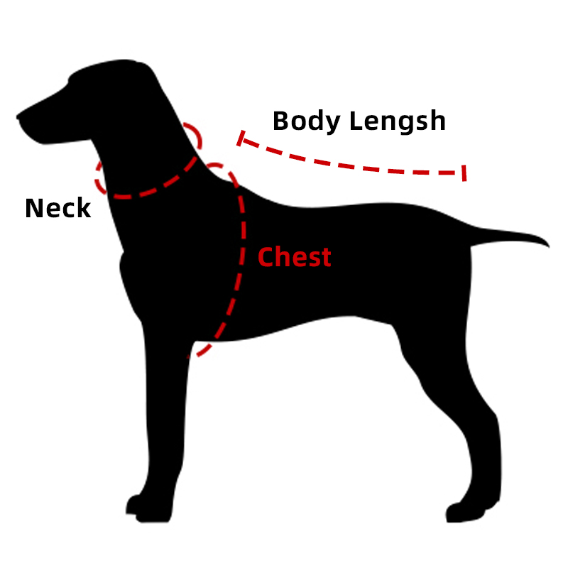 How To Measure Your Pet 