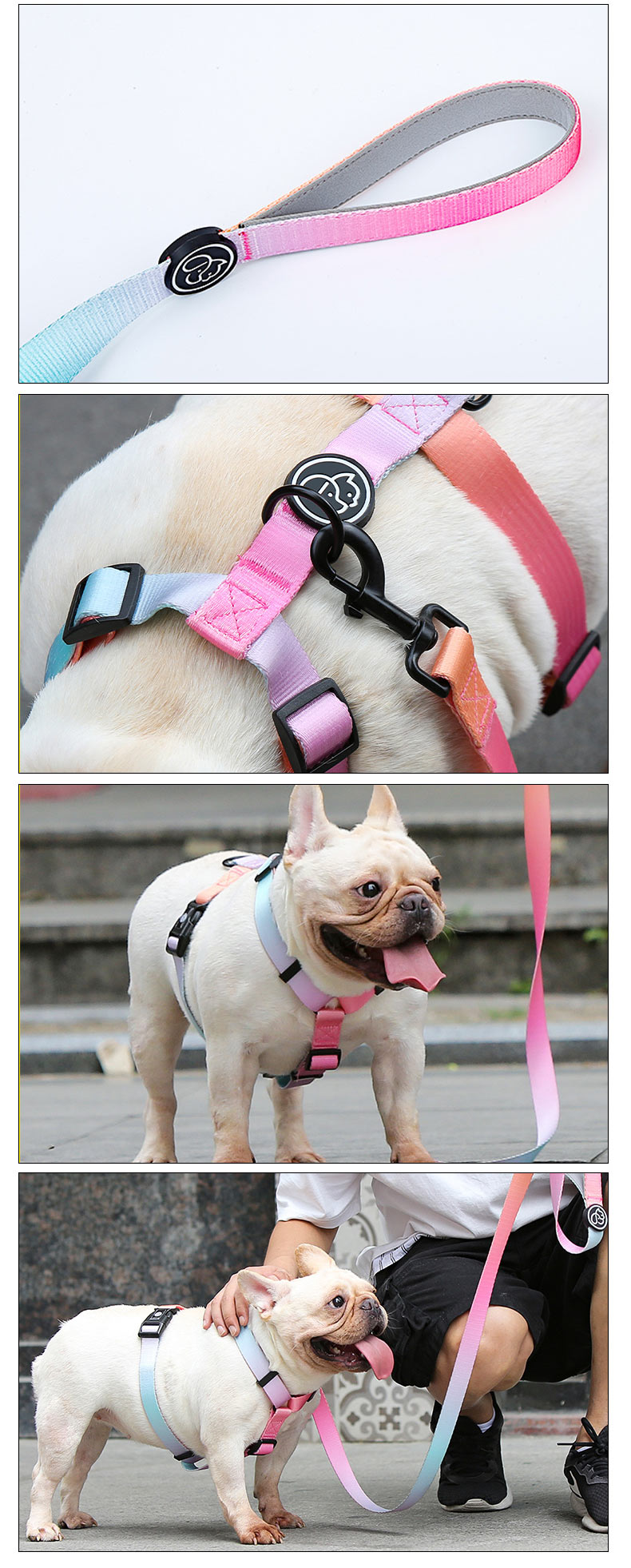 Collar Leash harness wear with dog.jpg